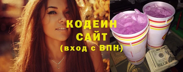 трава Инта