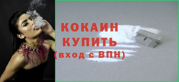 трава Инта