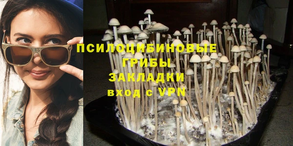 трава Инта