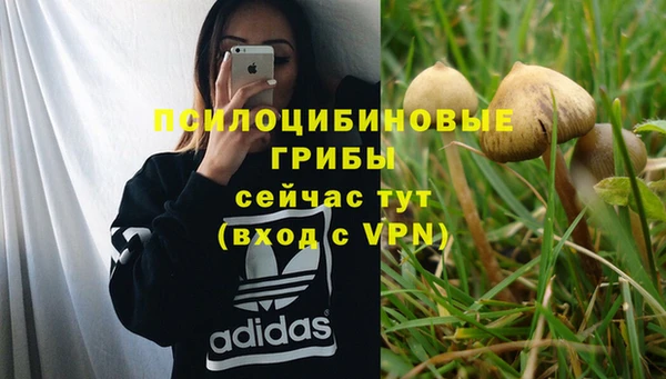 трава Инта