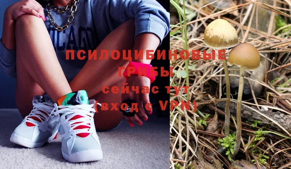 COCAINE Инсар